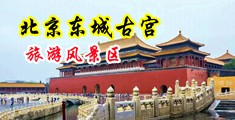 操逼流淫水小视频中国北京-东城古宫旅游风景区